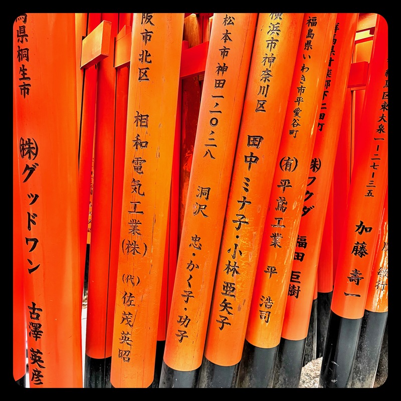 The Torii