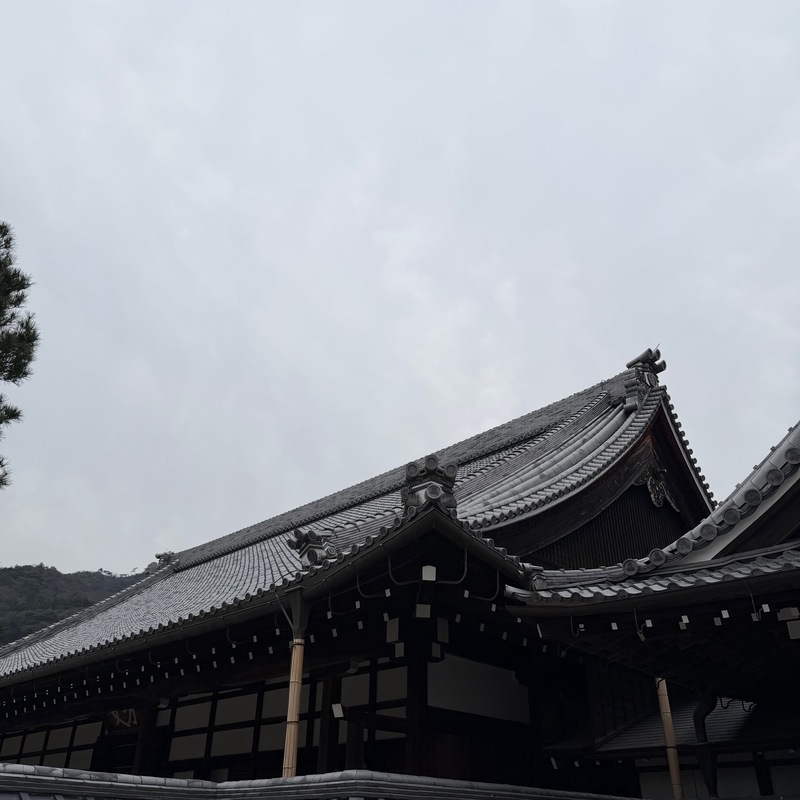 Black Roof