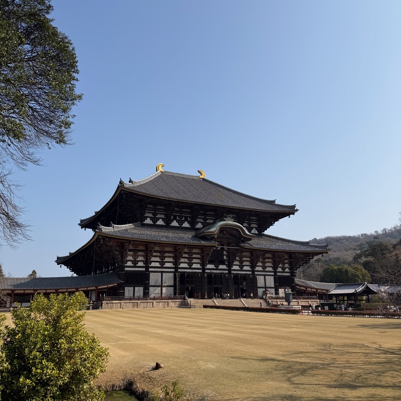 Shrine In Nara