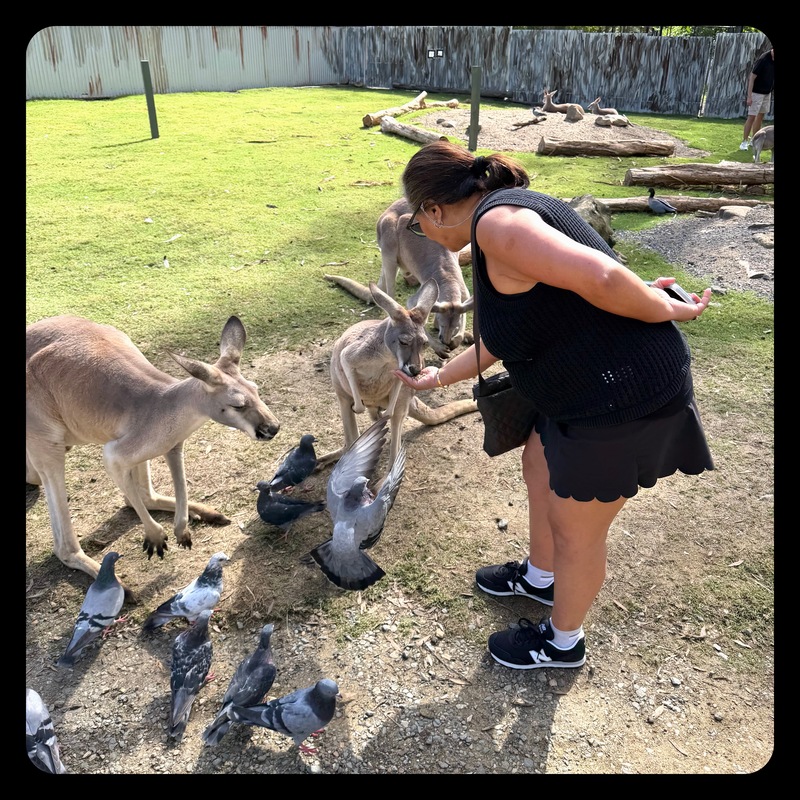 Kangaroo